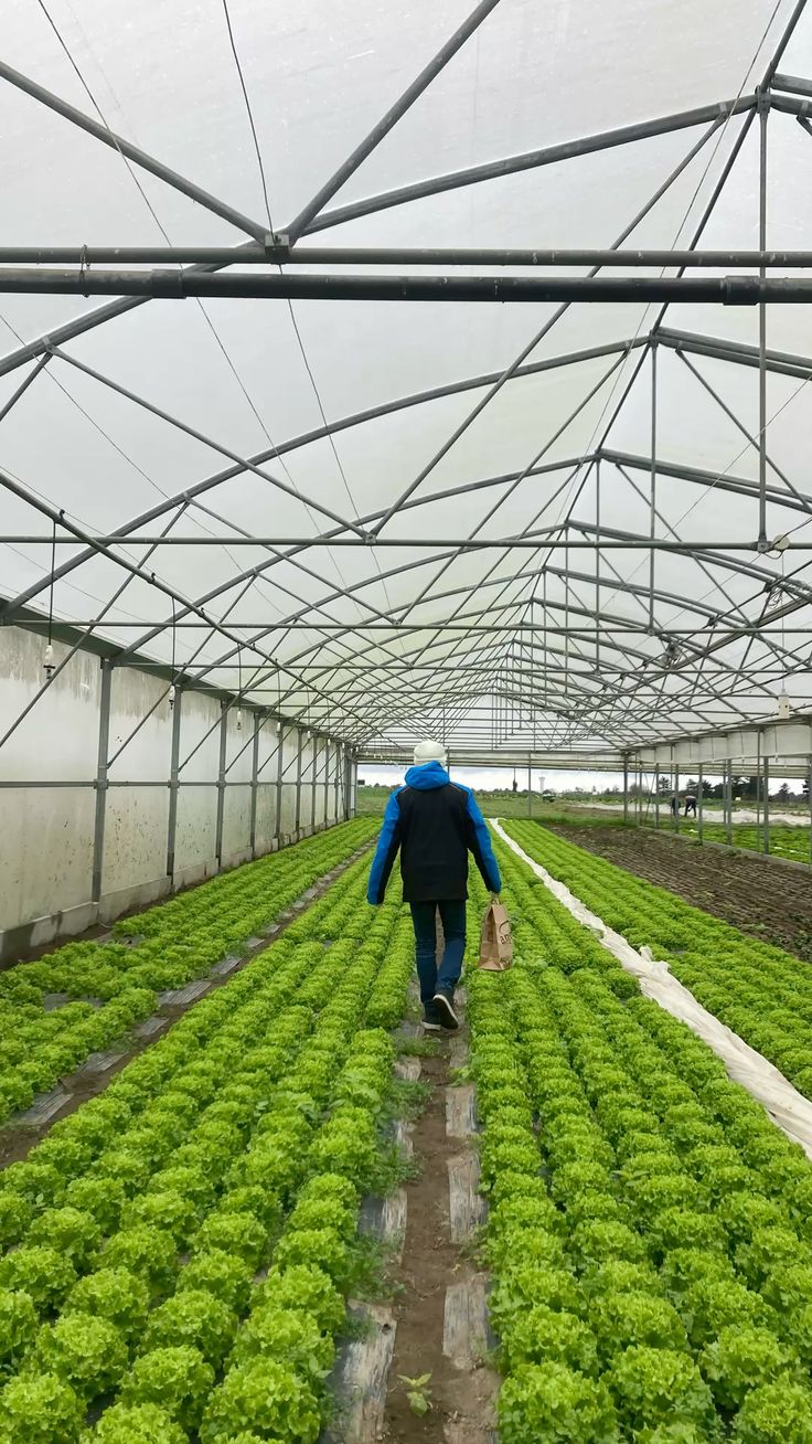 Greenhouse