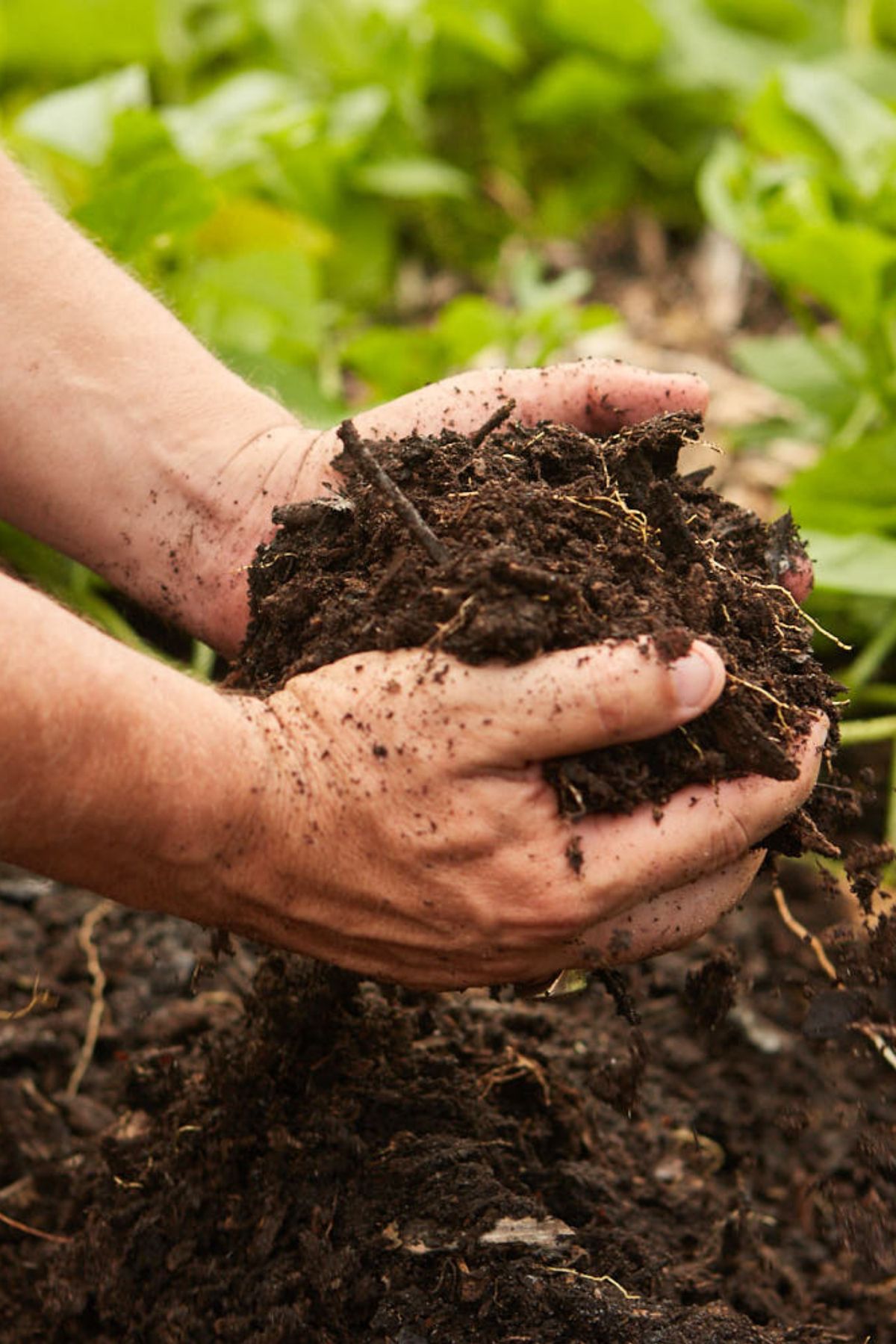 Sustainable agriculture