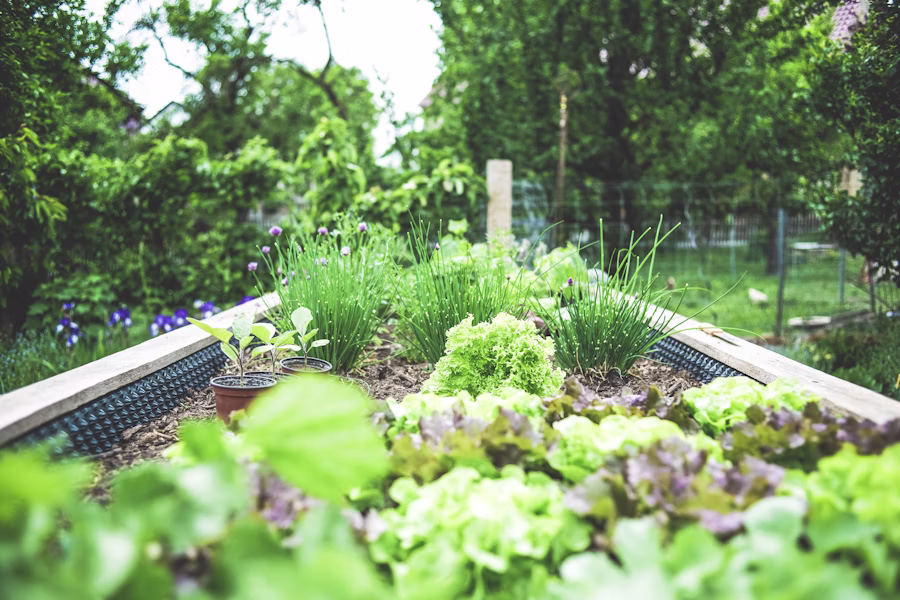 Greenhouse and vegetable farming
