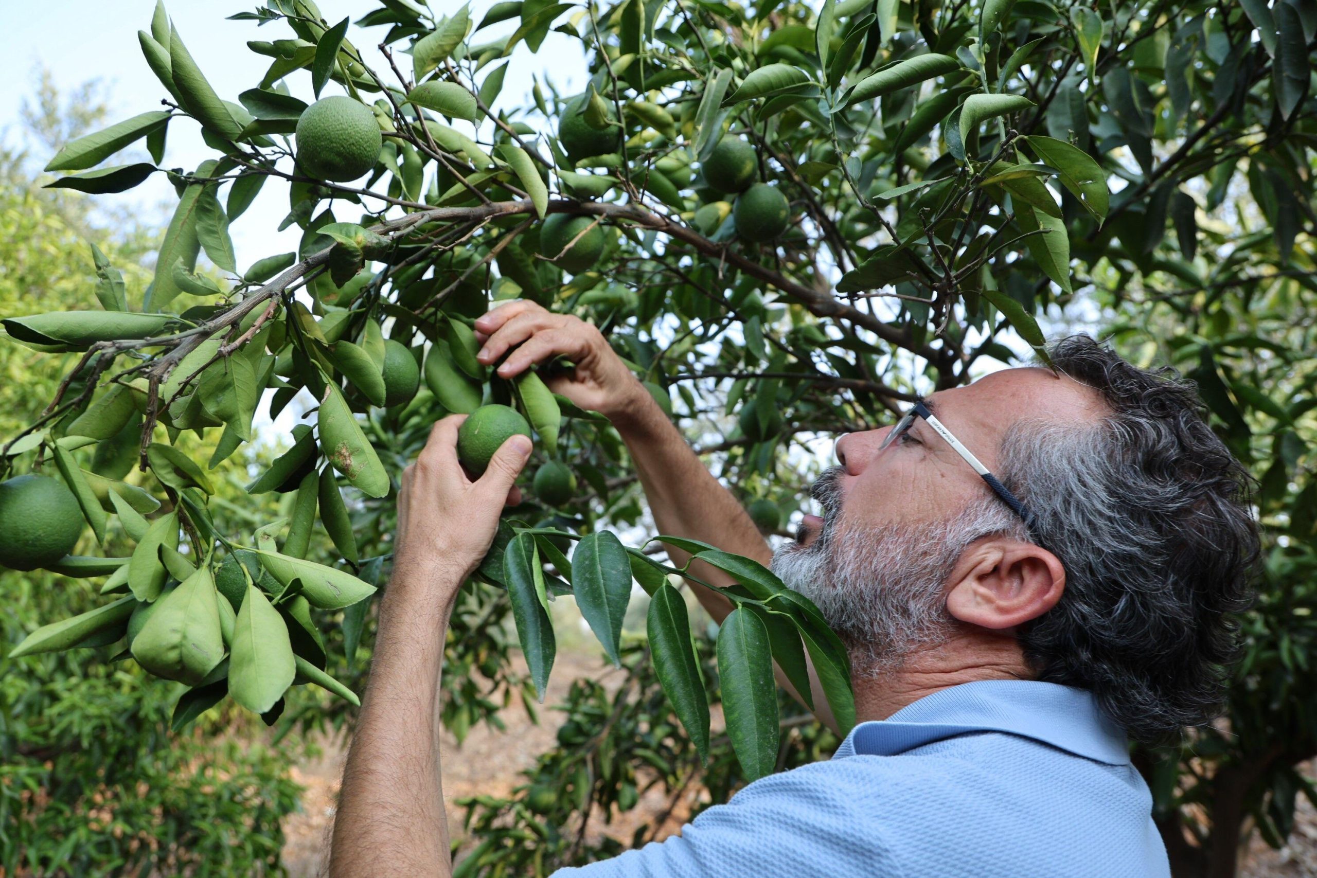 Sustainable agriculture